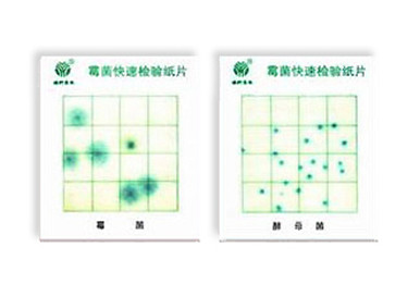 霉菌、酵母菌測試片